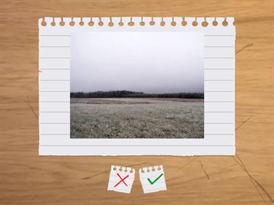 Я досліджую світ. Хмари.