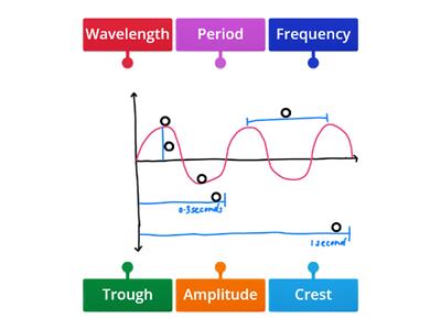 labelling the parts of a wave