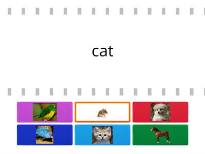 Kid's box 1 Unit 5 pets