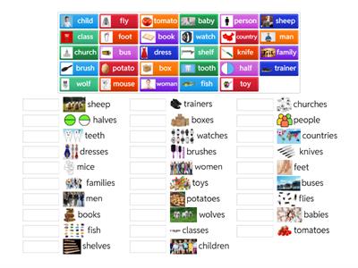 Regular and Irregular plural nouns