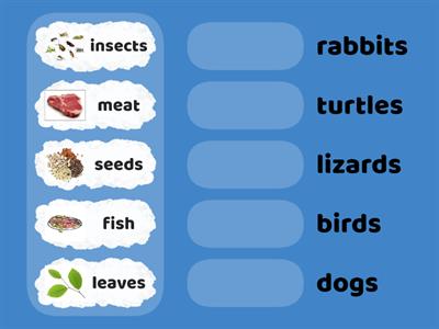 What pets eat - CLIL Unit2