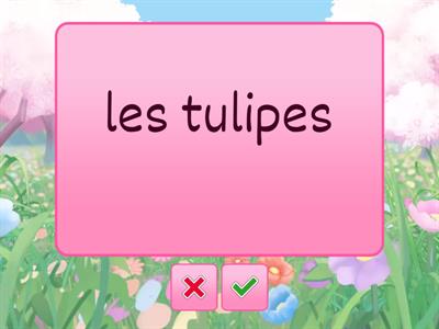 Core French Grade 7&8 Spring Vocabulary