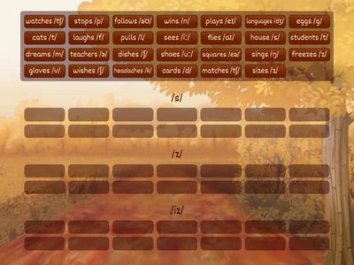 Which final -S sound do I need?