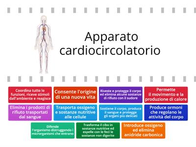 Apparati e sistemi: le funzioni