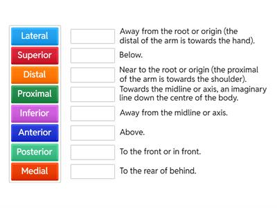 Location of bones jargon