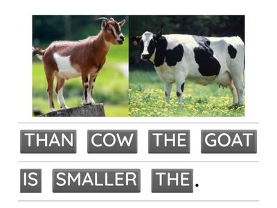 Comparatives: word order