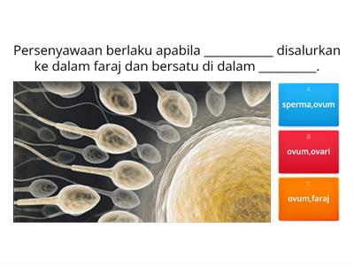 Kuiz Pendidikan Kesihatan Tahun 5 Bil.1