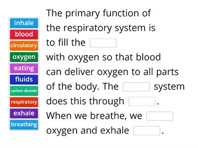 RESPIRATORY SYSTEM