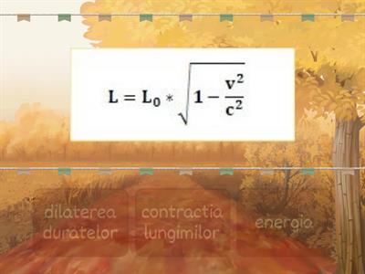 Teoria relativitatii
