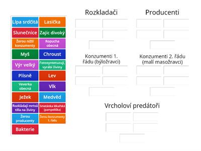 Potravní pyramida