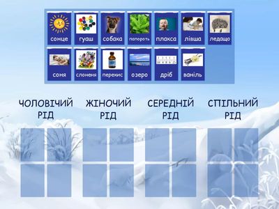 Рід іменників