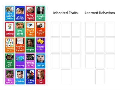 Inherited Traits and Learned Behaviors