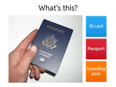 Going through customs