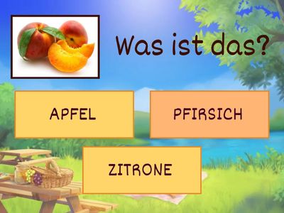 OBST 