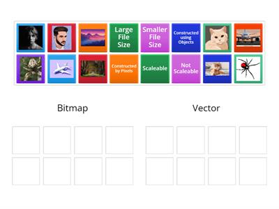 Bitmap vs Vector