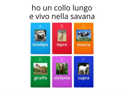 che animale è?