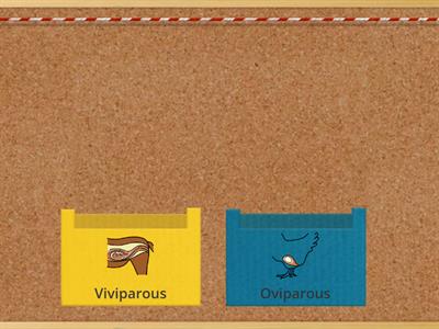 Viviparous or oviparous