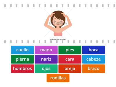  Las Partes del cuerpo