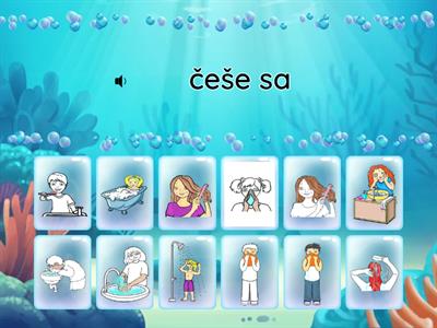 Zvratné slovesá SA, SI