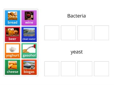 microorganisms and their products they make