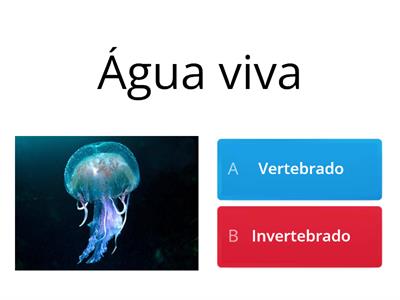 Animais vertebrados e invertebrados