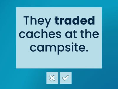 Passive Sentences (Past Simple)