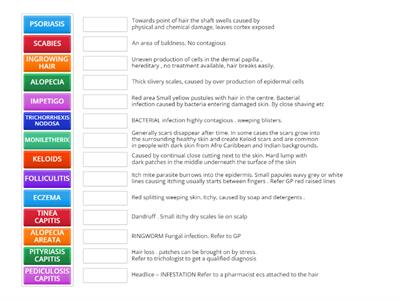 Level 3 Diseases/Disorders 