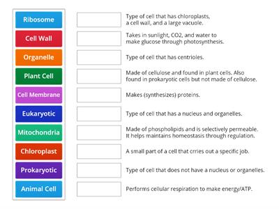 Types of Cells & organelles