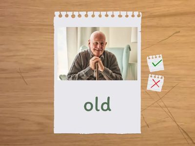 6. osztály - Szódolgozat - Opposites