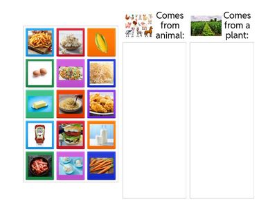 Lesson 6: Kinds of Crops 