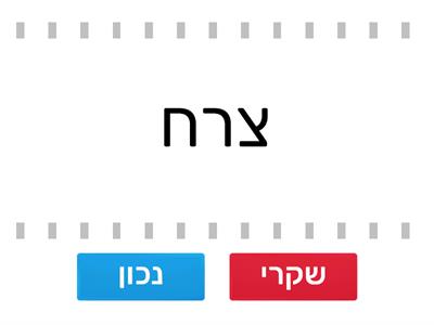 תרגול שגיאות כתיב רחל