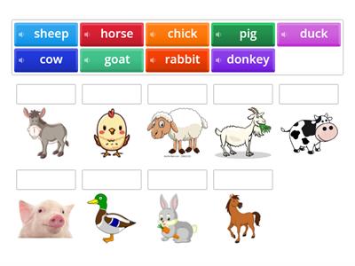 Farm animals 1
