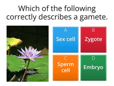 Reproduction in Flowering Plants GCSE