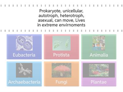 6 Kingdoms of Life