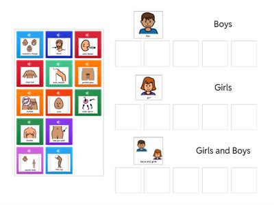 Puberty Sorting Activity
