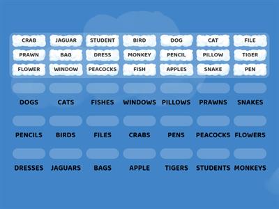 SINGULAR PLURAL YEAR 3