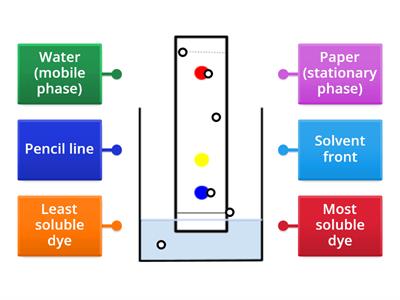 Paper Chromatography