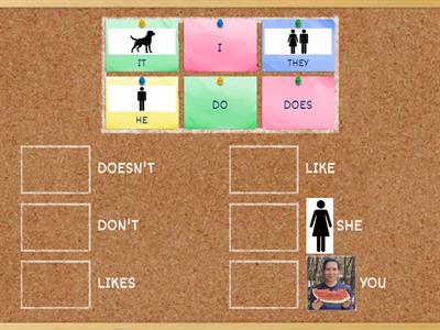 Grammar review - Simple Present