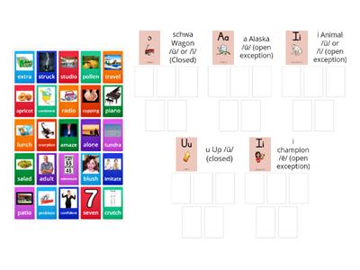 Level 3 Unit 6 (alaska, champion, animal, schwa)