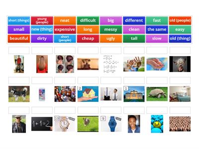 Common Adjectives - AEF Starter - 