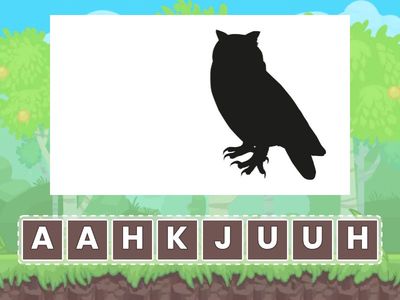 Mikä lintu kirjaimista muodostuu? (6)