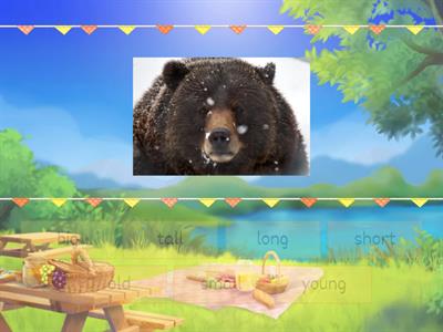 Прилагательные 