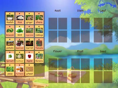 Sort the Food Items According to Plant Part