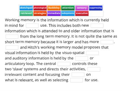 Year 12 ATAR Psychology - Working Memory