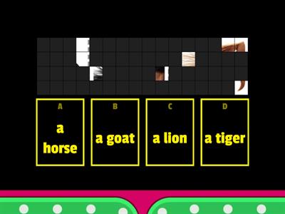 Super Fun 2- L3- Animals (Theme words)