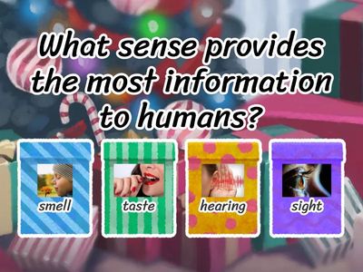 Senses Quiz