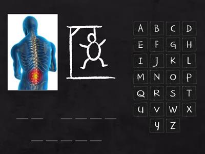 CBE BOW OTL Engels Body Parts