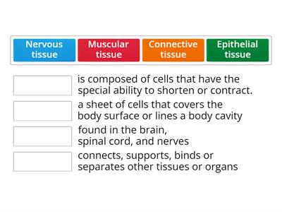 Tissue types - Matching activity