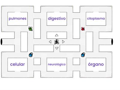 Maze Chase: Acentuación de Sistemas Corporales