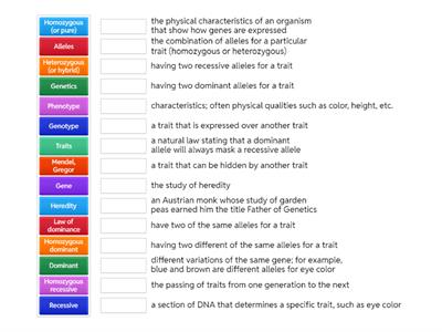 Genetics and Inheritance Vocab Practice